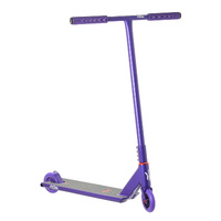 Architect Complete stunt scooter- Viola