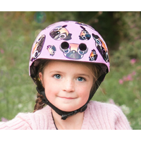 Helmets / Protective Pads / Gloves 